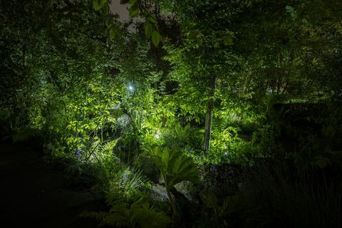 Chelsea Flower Show - Il ritorno al giardino naturale di Kate Middleton la sera, illuminazione Philips