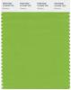 Il verde nominato come colore dell'anno 2017 di Pantone