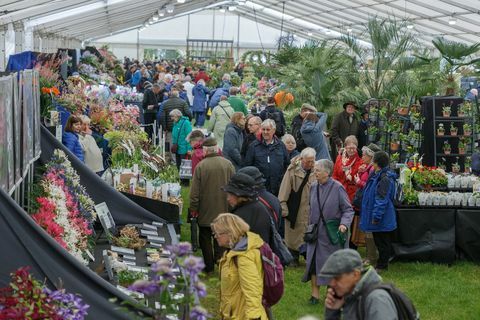 Visitatori nel tendone floreale all'RHS Malvern Spring Festival 2019.