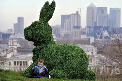 Agrumi - arte topiaria - Easter Bunny Hero