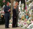 Il principe Harry parla della morte della principessa Diana e del suo ruolo nella famiglia reale